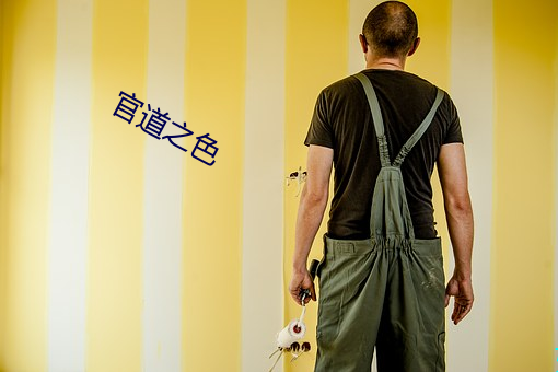 官道之色