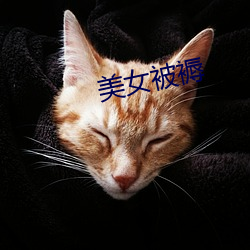 美女被褥