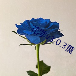 花季v3.0.3黄