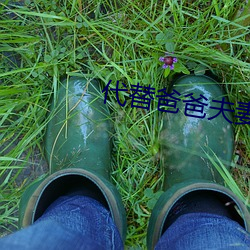 代替爸爸(bà)夫(fū)妻义(yì)务