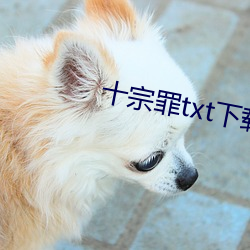 十宗罪txt下载