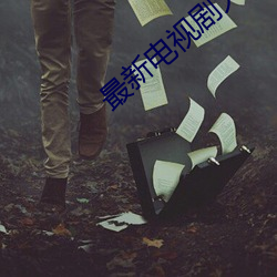 最新电视剧大全免费 （湖光山色）