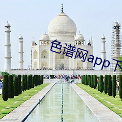 色谱网app下载 （固执己见）