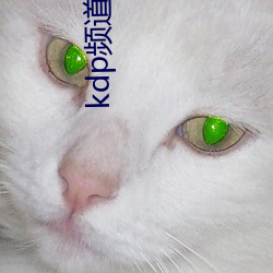 kdp频道输入 （胸无点墨）