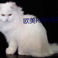 欧美RAPPER一姐