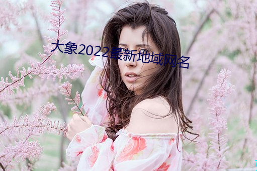 大象2022最新地区(yù)网名(míng)