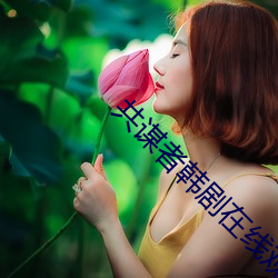 共谋者韩剧在线观看 （盈千累万）