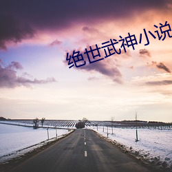 绝世武神小说