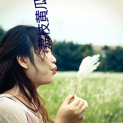 荔枝黃瓜茄子番茄秋葵人口