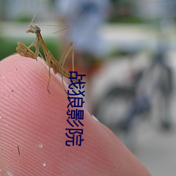 战狼影院