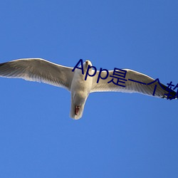 App是一个软件平台吗