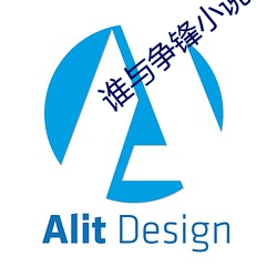 谁与争锋小说