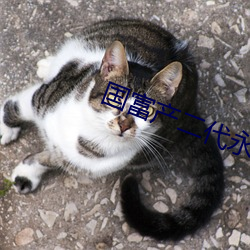國富産二代永久官網
