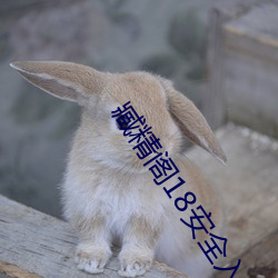 臧精阁18安全入口 （羊角风）