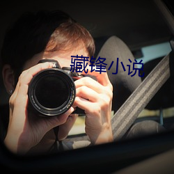 藏锋小说