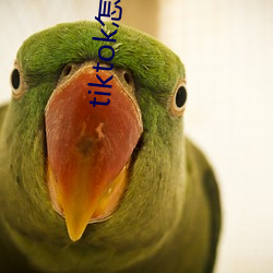 tiktok怎么刷黄