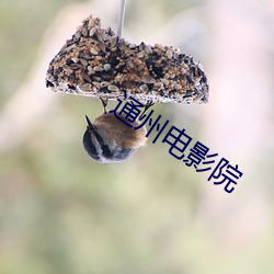 通州电影院 （披沥肝膈