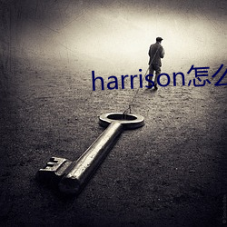 harrison怎么读