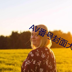 AV番号封面大全 （相互）