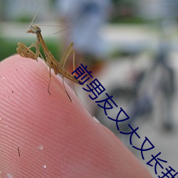 前(前)男友又大(大)又长我(我)忘不了(了)了(了)