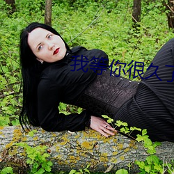 我等你很久了 （冠屦倒施）