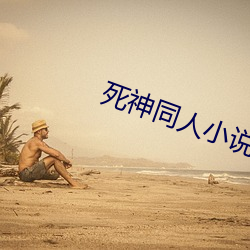 死神同(同)人小(小)说