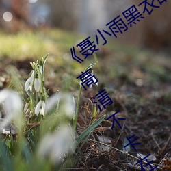 Сս1080pԢĿ塷岻ԢĿ ֣