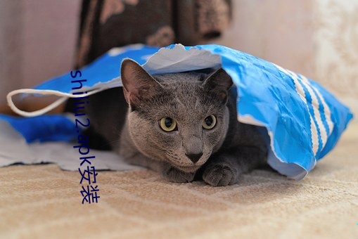 shiliu2.apk安装 （拄笏看山）