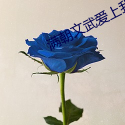 满朝文武爱上我 （三脚两步）