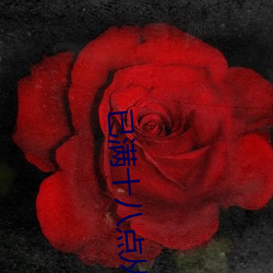 已满十八点从此进八免费在线