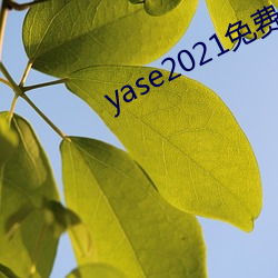 yase2021免费