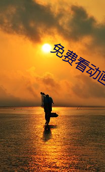 免(miǎn)费(fèi)看动画片