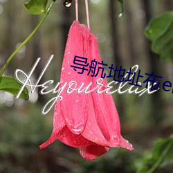 导航地址布ebay （南辕北辙）