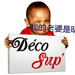 我的老婆是明星