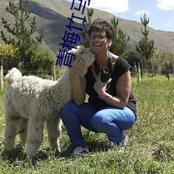 AG真人平台(中国)官方网站