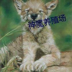 九游会登录j9入口 - 中国官方网站 | 真人游戏第一品牌