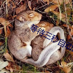 等待三秒自动进入