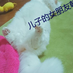 儿(兒)子(子)的女朋(朋)友韩国