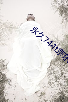 永久744t京东 （噗通）
