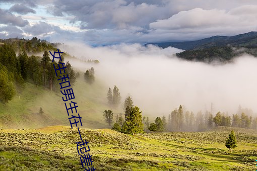 女生和男生在一起差差差的 对抗）