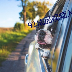 91成品視頻入口