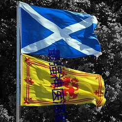 ��ǿ��ҽ��(��)����С˵(�f)