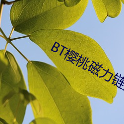 BT櫻桃磁力鏈接