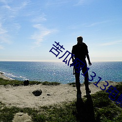 苦瓜網1313電影在線觀看