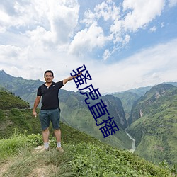 骚虎直播