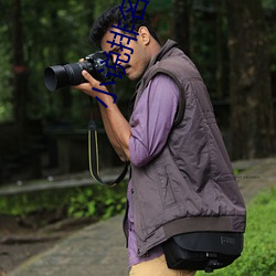 小说排名