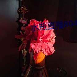 水瓶直播804tv