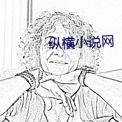纵横小说(說)网