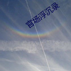 官场浮沉录