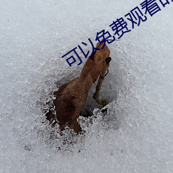 九游会登录j9入口 - 中国官方网站 | 真人游戏第一品牌